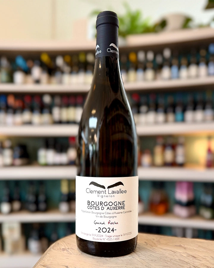 Clément Lavallée 2024 'Grand Roche' Blanc de Cotes d'Auxerre Bourgogne