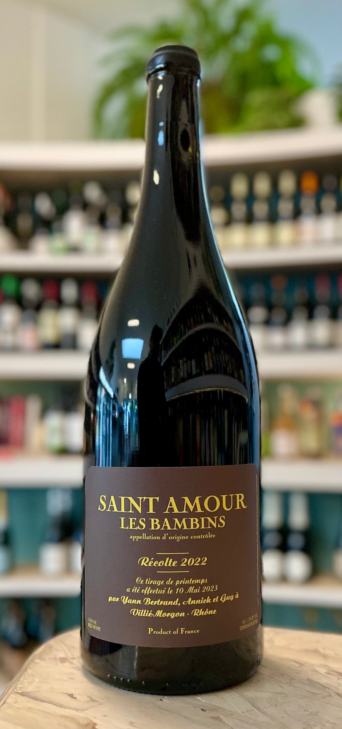 Yann Bertrand "Les Bambins" 2022 Saint Amour MAGNUM