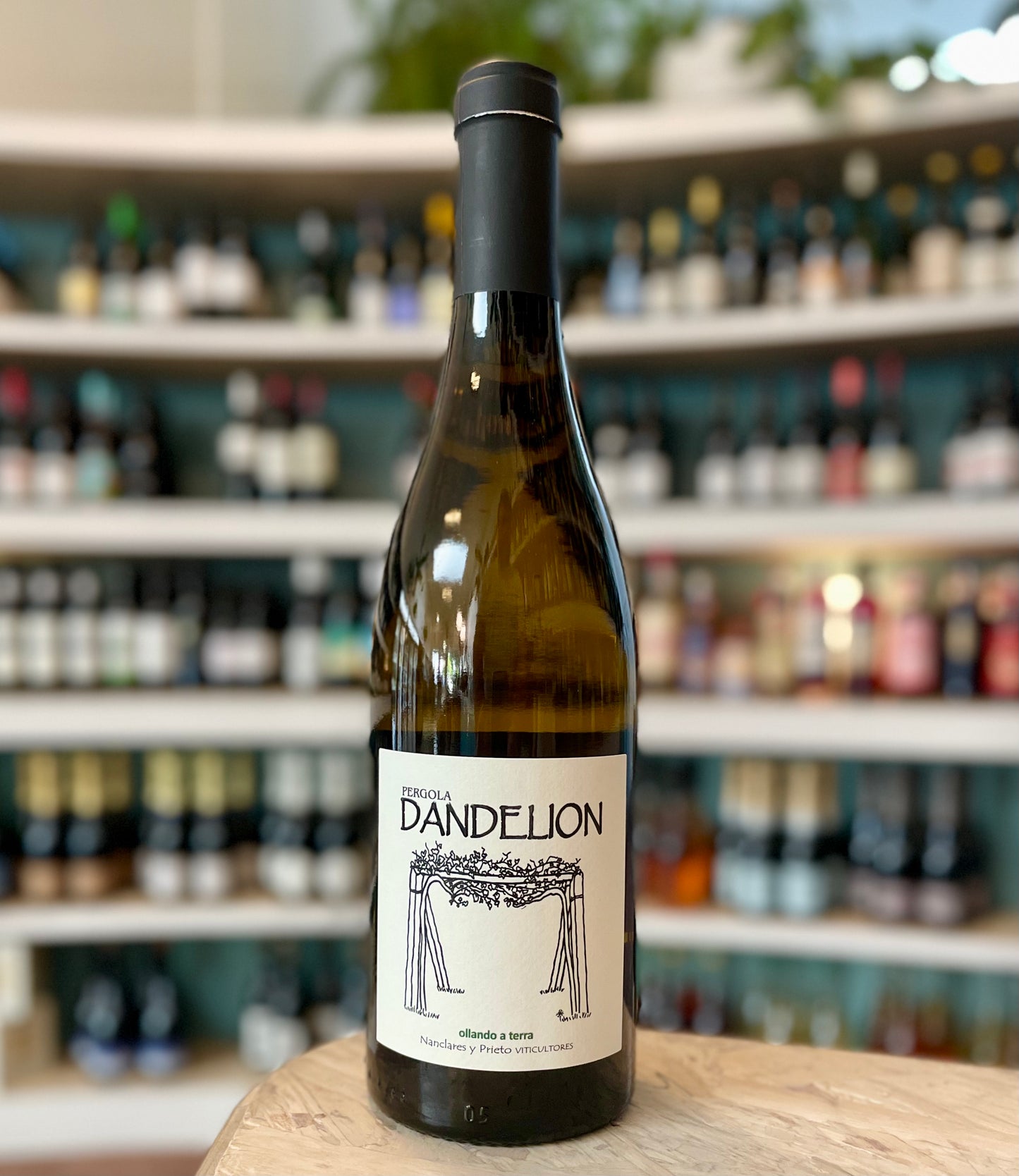 Nanclares y Prieto 'Dandelion' Albariño Val do Salnes, Rías Baixas, Galicia
