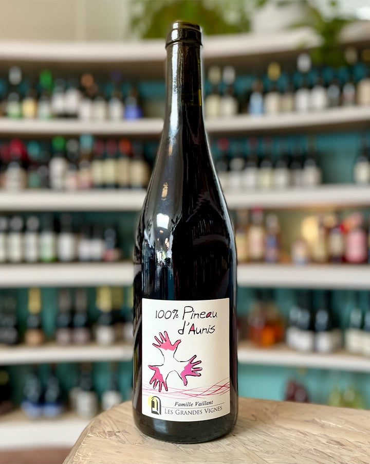 Domaine Les Grandes Vignes - Famille Vaillant 2022 Pineau d'Aunis Anjou