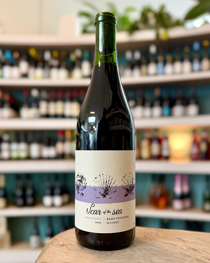 Scar of the Sea  'Bassi Vineyard'  2025  Gamay  SLO Coast