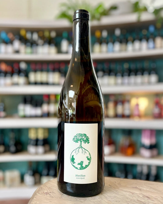 Werlitsch  'Morillon vom Opok'  2022  Chardonnay  Styria, Austria