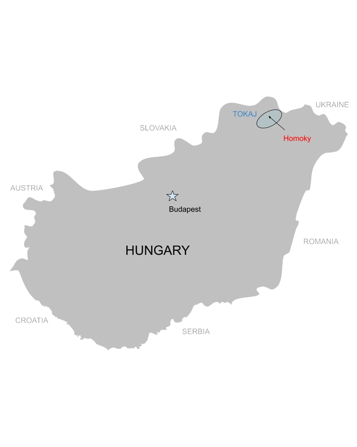 Homoky Dorka  "Pét-Nat"  2022  Sparkling White Blend  Tokaj, Hungary