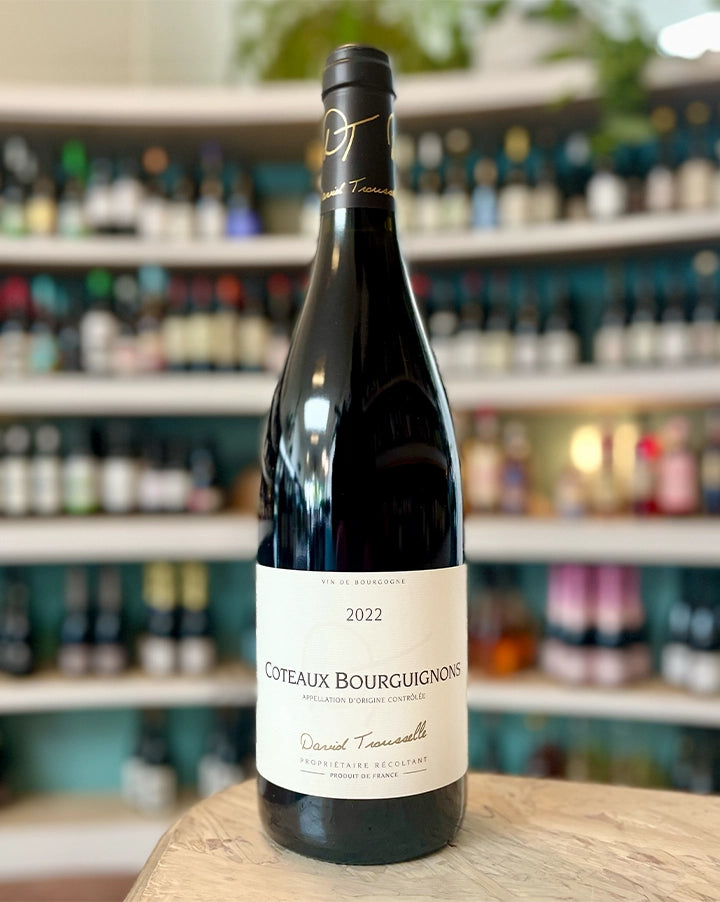 David Trousselle  2022  Gamay  Coteaux Bourguignons